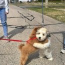 강화분식 이미지