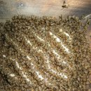 이찬농장 이미지