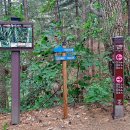 원주굽이길 16코스 매지순환둘레길 이미지