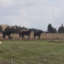 동광로9길 3 이미지