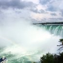 메기의 추억 이미지