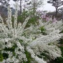 샘물농장 이미지