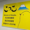 공항 | 시즈오카공항 후기! 렌트카 이용방법 하이패스 면세점까지