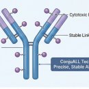 제이피바이오 이미지
