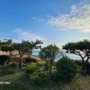 마하공인중개사사무소 이미지