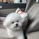 샵 세린파크 이미지