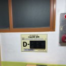 수필 쓰는 금요일.Ⅱ | 초록 물결이 톡톡 튀는 젊음처럼