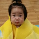 시니 이미지