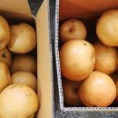 생수건강원 이미지