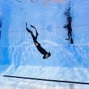 창원실내수영장 수영장 | 창원실내수영장 다이빙풀 강습 리뷰｜초보도 안심하는 창원프리다이빙 코스