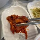 머구리 | 강원도 고성, 속초 물회 푸짐하게 주는 ‘봉포머구리집’ 후기