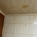 월드슈퍼빌 이미지