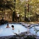 나홀로 진짜 여행 이미지