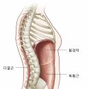 LICA·NEAT와 건강·장수 이미지