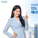 노이 이미지