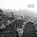 선한농부 이미지