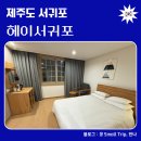 헤이, 서귀포 | [제주도 서귀포] 가성비 호텔 헤이서귀포 내돈내산 후기