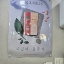 하리힐즈