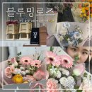 부천 꽃집 추천 블루밍로즈 송내역 24시 무인 예쁜 꽃다발
