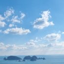 여울애견 이미지