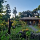 귤담집 | 제주도 3박 4일 여행 / 제주 동쪽 여행 코스, 홉히, 소금바치순이네, 소섬전복