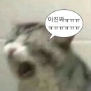 6280 | 오스트리아 비자D 만들아
