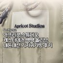 문화가방 | 아프리콧스튜디오 캐스터네츠 백팩 내돈내산 기저귀가방 후기