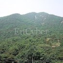 계양산야외공연장 야외공연장 이미지