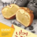 숲속마을파도소리 이미지