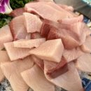 대물포차 이미지