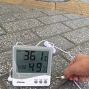 그늘막51 이미지