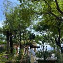 해성게임장 | 부산 여행 / 해운대,광안리 요점정리 2일차! / 사북칼국수, 옵스, 모모스커피, 밀락더마켓, 수변최고...