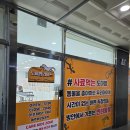 화이트크린, 라이프크린 | 인천 도마뱀샵 :) 도마뱀라이프 인천본점 후기! 직접 부화·호텔링까지