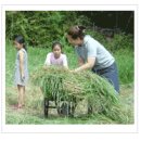 송파 사슴 농장 이미지