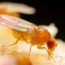 CW-2112-01 sciencenews