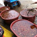 만년한우농장 이미지