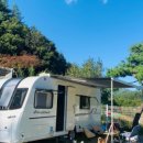 (주)위드독 이미지