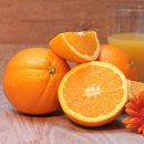 오렌지 이미지