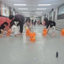 용인대마루한태권도장 이미지