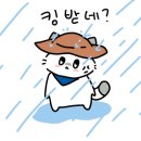 가람펜션캠핑장 이미지