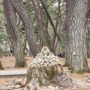 영월 인 더 나이트 | 단종 유배지 강원도 영월 청령포 주말 여행 후기 + 숙소 3곳 비교 추천