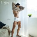 유엘피티 이미지