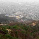 용곡초등학교 Daum카페