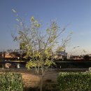 CU 동천 뚝방길점 이미지