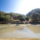 이천서씨 열녀비(利川徐氏 烈女碑) 네이버블로그