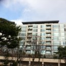 강남서로5 이미지