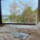 산들바람 민박 이미지