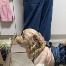 이소리111 멍펜션 이미지