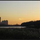 호수의오후 이미지