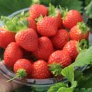 계명대엘리트태권도장 이미지